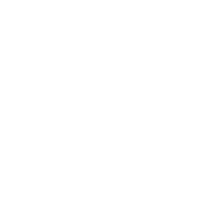 forgestar - MdS Tuning